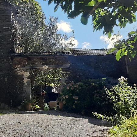 Bed and Breakfast Le petit nid  Sablieres Esterno foto