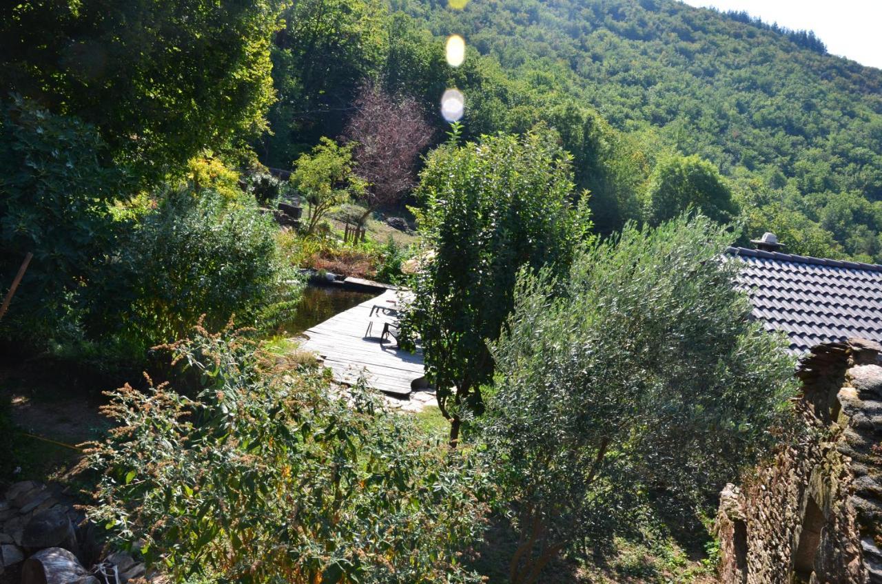 Bed and Breakfast Le petit nid  Sablieres Esterno foto