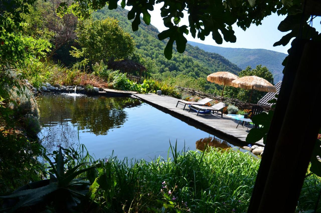 Bed and Breakfast Le petit nid  Sablieres Esterno foto